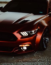 K75554 Matt Autumn Fire - 4.jpg