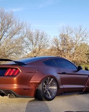 K75554 Matt Autumn Fire - 5.jpg