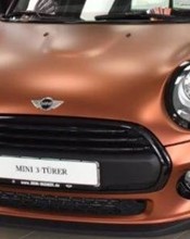 K75554 Autumn Fire - 7.jpg