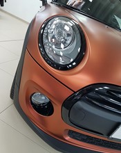 K75554 Autumn Fire - 2.jpg