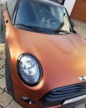 K75554 Autumn Fire - 9.jpg