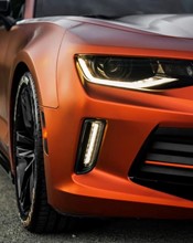 K75554 Autumn Fire - 2.jpg (1)