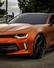 K75554 Autumn Fire - 3.jpg (1)