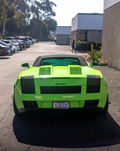 K75438 Surge Green